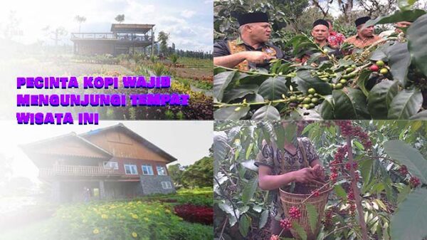 4 Kebun Kopi Wisata Indonesia Terbaik bagi Pencinta Kopi!