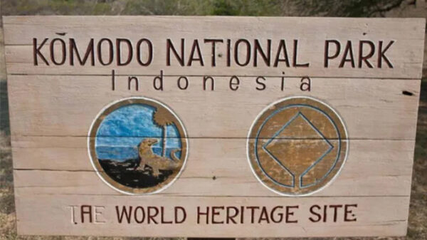 Tips Wisata Indonesia ke Pulau Komodo agar Tetap Aman